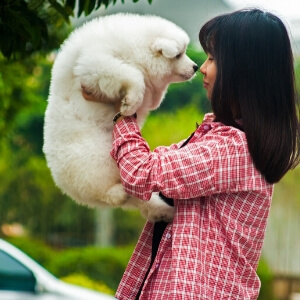 woman and dog